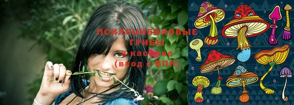 герыч Алексин