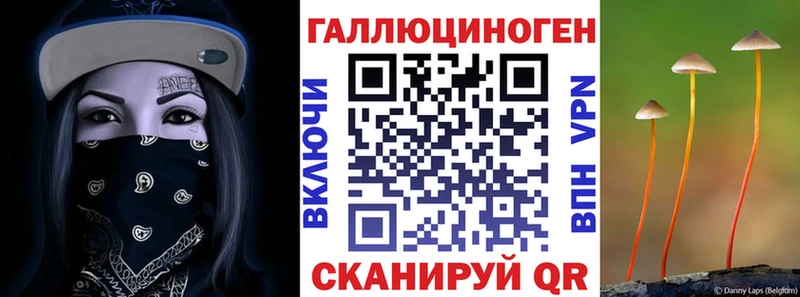 Галлюциногенные грибы прущие грибы  Харовск 